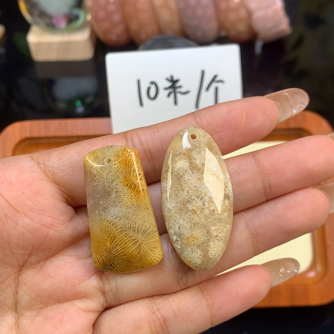 【闪购商品】颈饰未镶嵌硅化珊瑚(珊瑚玉)无*