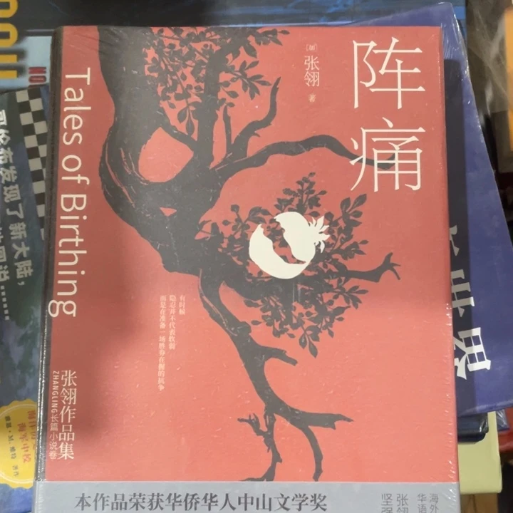 阵痛精装塑封书籍