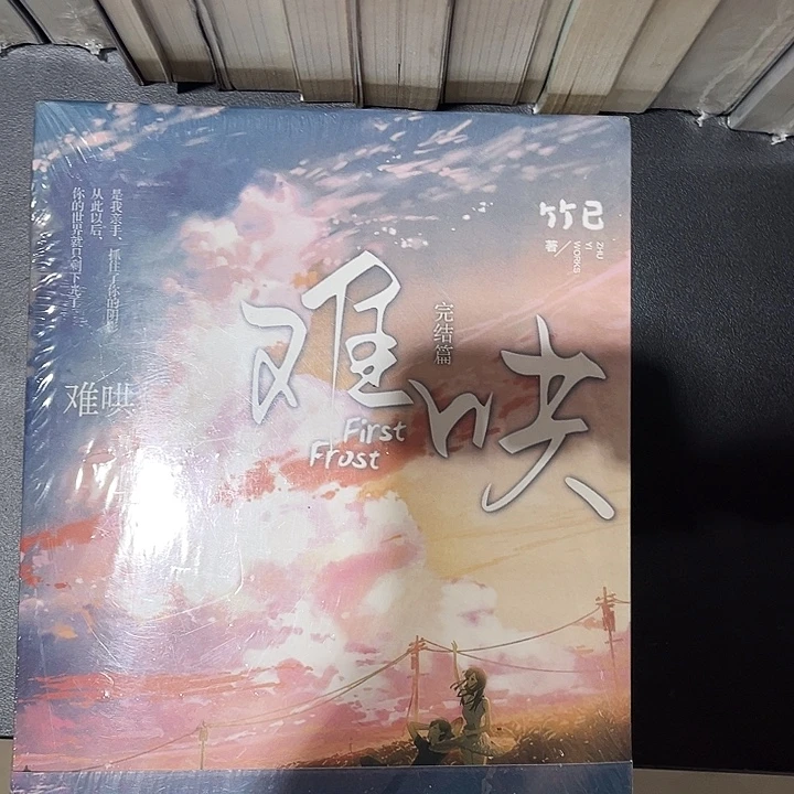 难哄全新全套两本