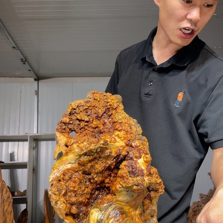 太***阳木材猛子琥珀木摆件20