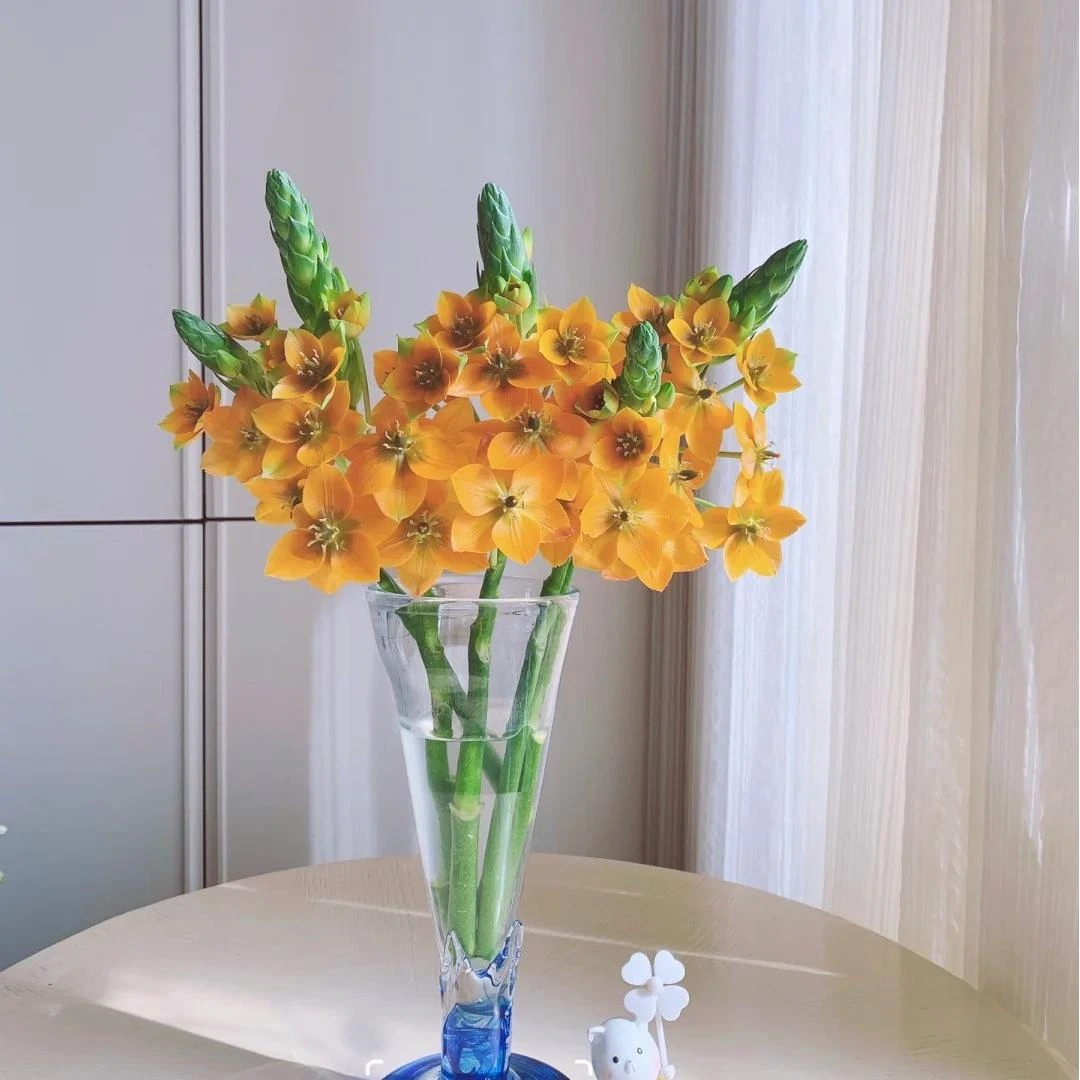 【AB级鲜花圣心百合】云南昆明斗南鲜花直发满2单顺丰京东冷链包邮