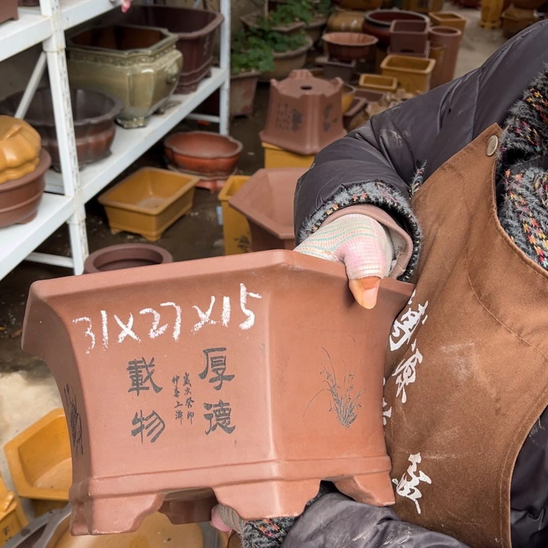 花盆紫砂盆景艺术