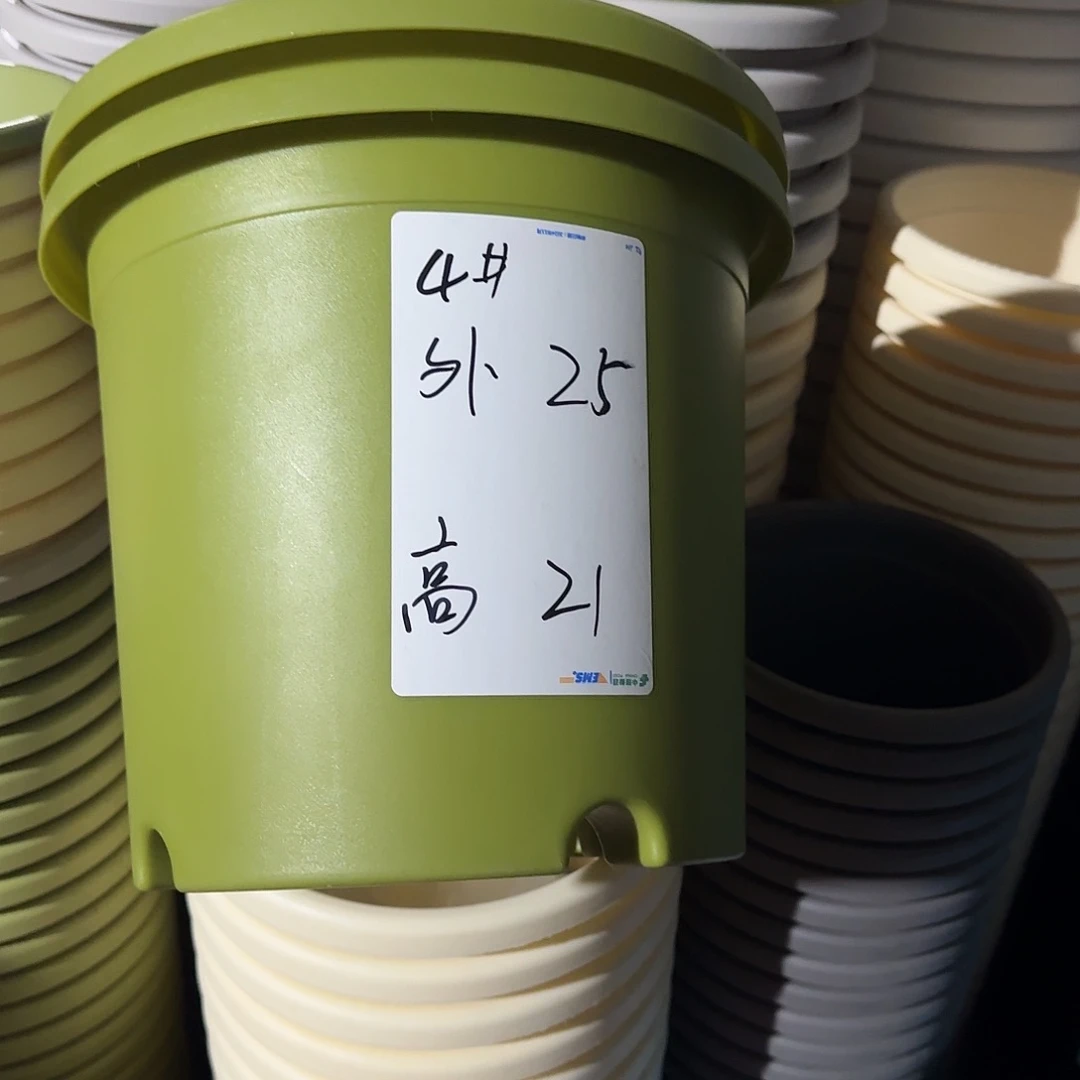 树脂四季4号无托8个果绿