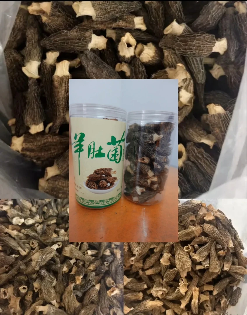 农家自种原生态羊肚菌