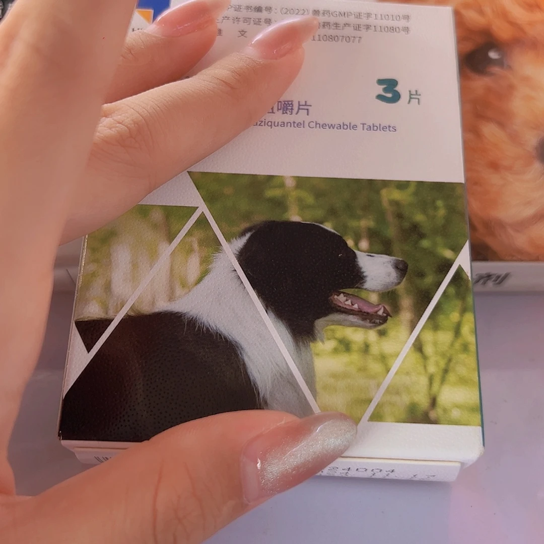 狗狗 3片 临期微瑕破损仓储折扣不退不换