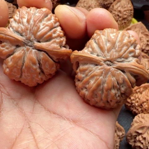 D***Z桃核吊坠40尺全品莲花狮子头