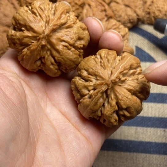 吊坠文玩核桃霸王龙