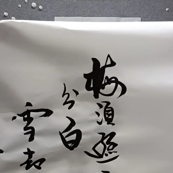 用***1书法木鱼时时没花榜书大字书法作