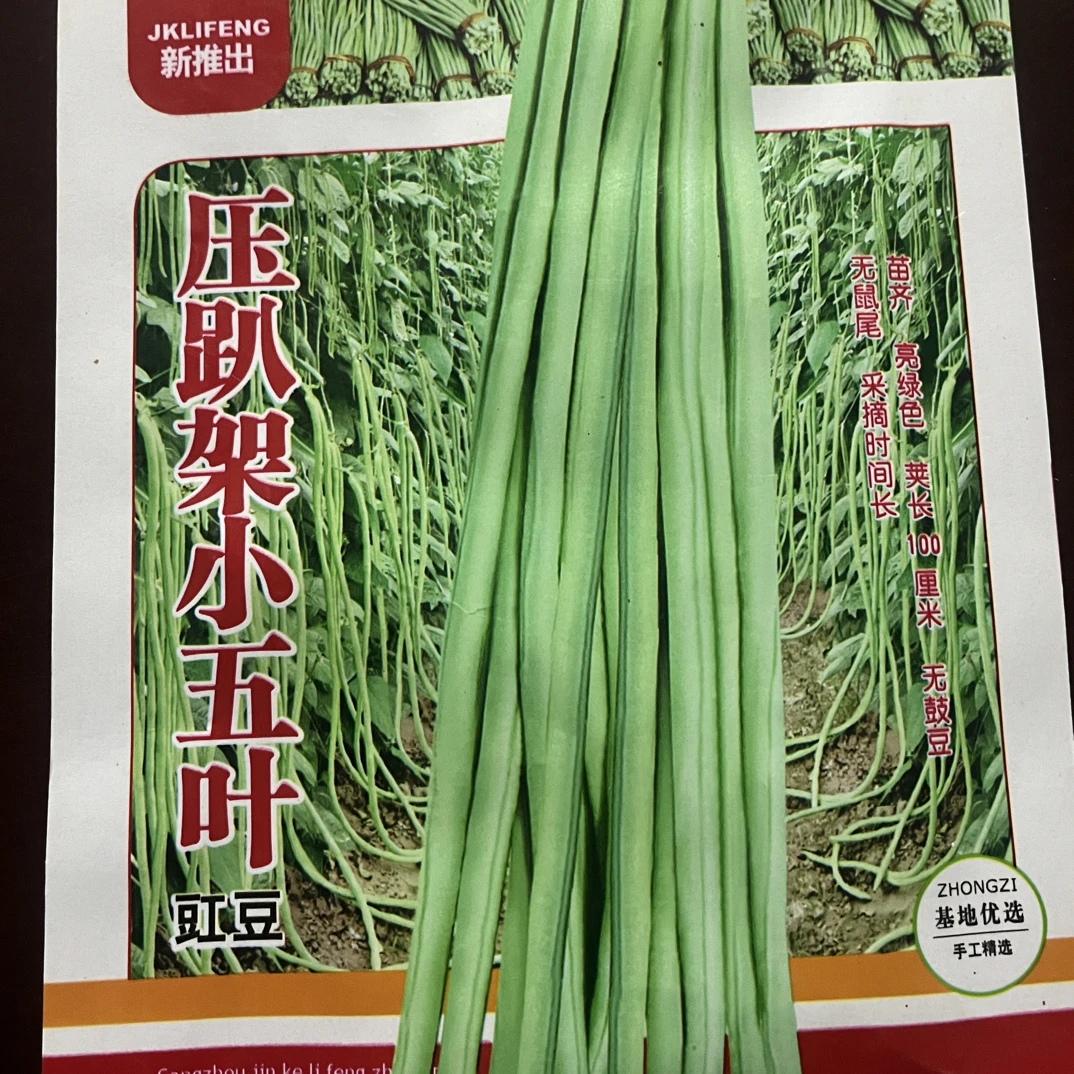 【满5元包邮】特长豆角种子高产顺直脆甜无筋四季阳台种植菜种子