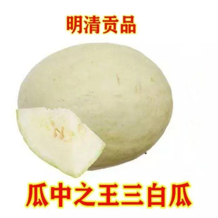 山西运城特产三白瓜独有低糖低脂不甜的西瓜现摘现发8斤左右包邮