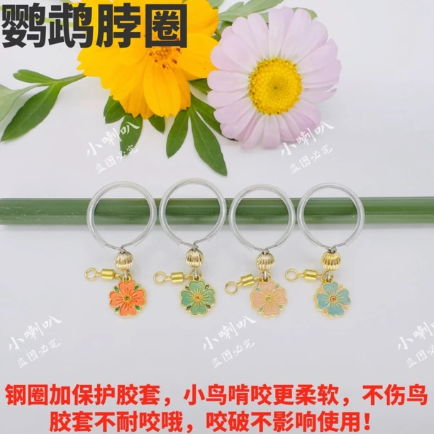牡丹鹦鹉脖圈小太阳玄凤户外栓鸟脖链牡丹虎皮外出项圈链金太阳