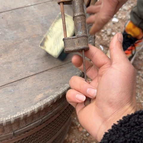 杂色豆（科檀/科特迪瓦檀木）泳*