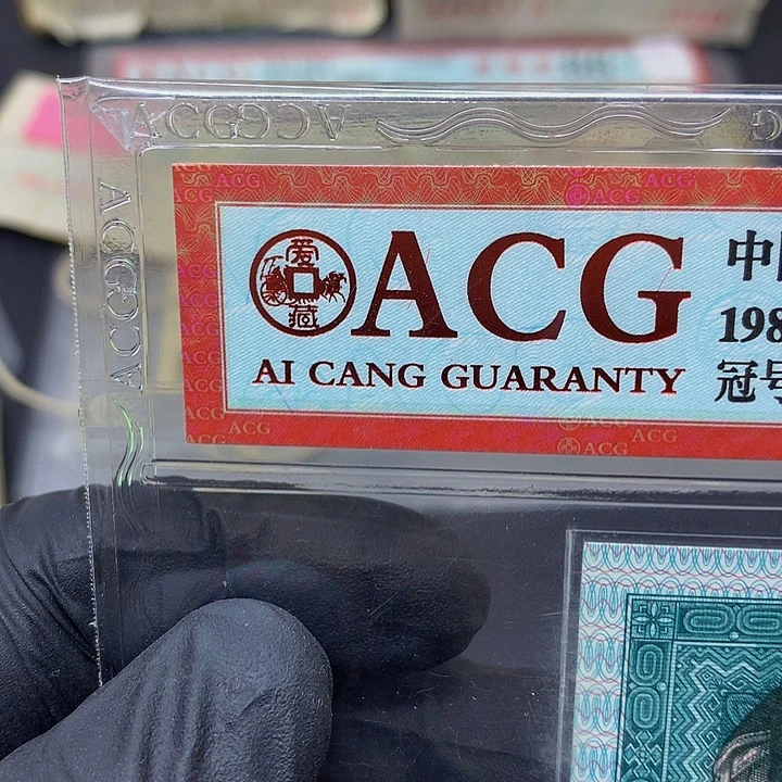 一张送点1标十一组