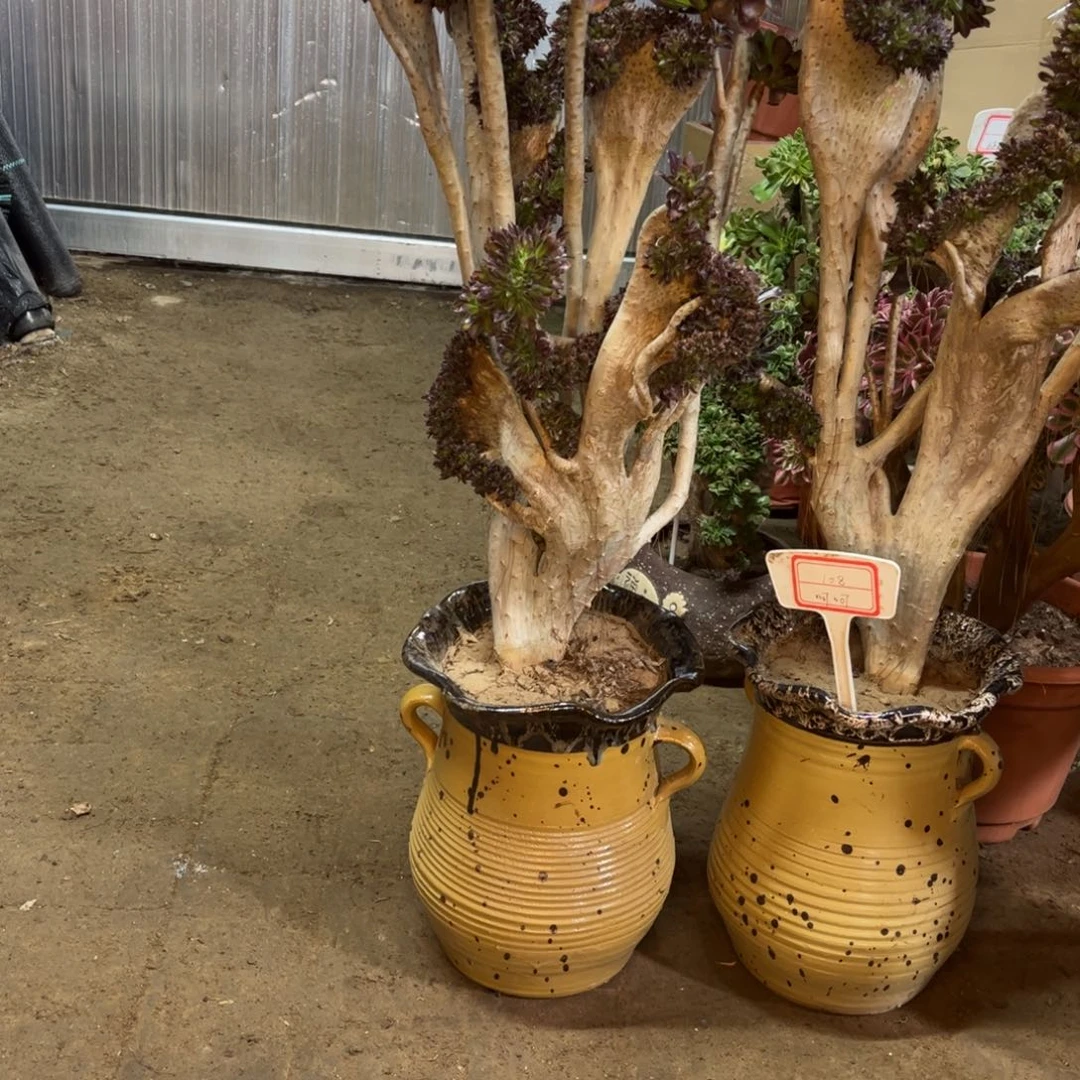 精品法师福利多多