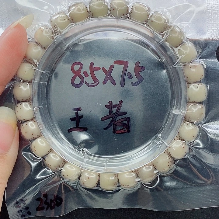 ****羯星月菩提吊坠9.5尺寸
