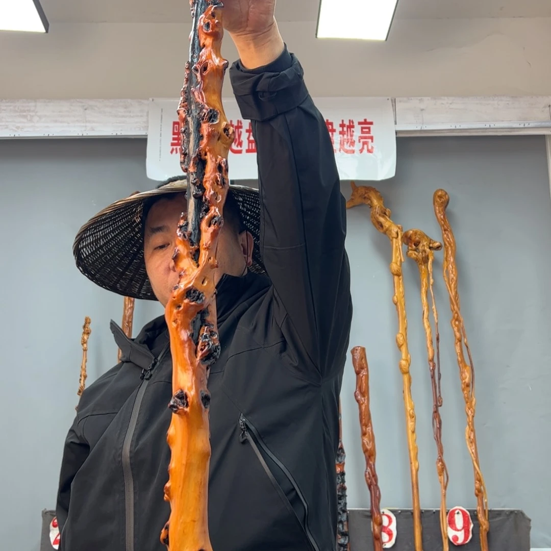 黑果木其他用****0黑果木882