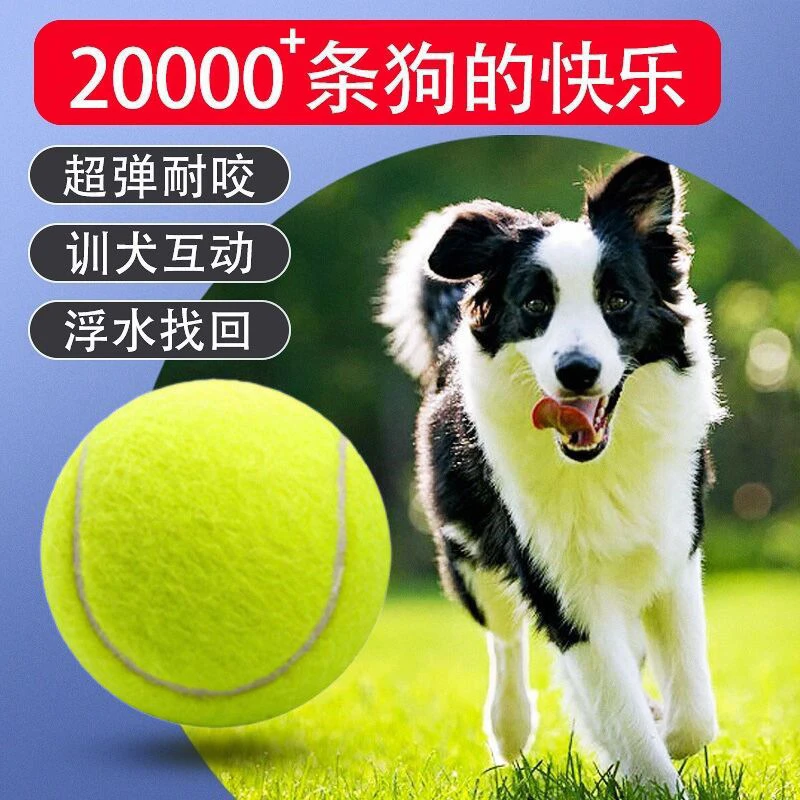 宠物玩具狗狗橡胶球解闷互动耐磨玩耍狗玩具宠物用品