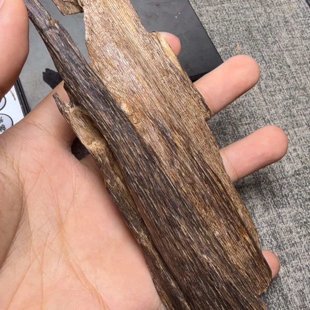 香榧木海南大山37克