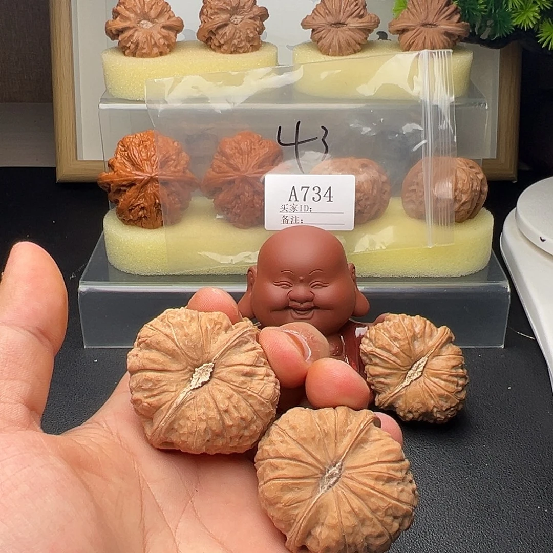 A734南瓜灯43尺全品