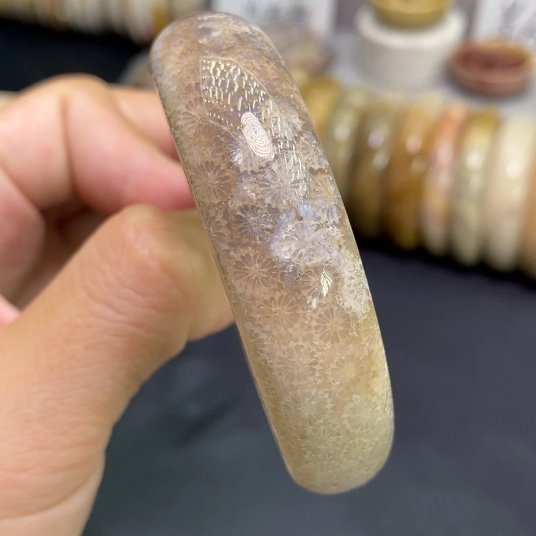 硅化玉未镶嵌手镯