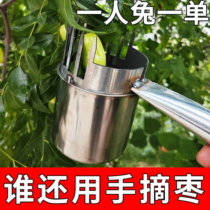 【新款】2025酸枣摘果器 加厚耐用型防洋辣子不扎手摘酸枣工具