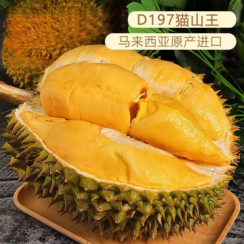 果切【液氮纯果肉】马来西亚猫山王D197榴莲果肉约440g左右