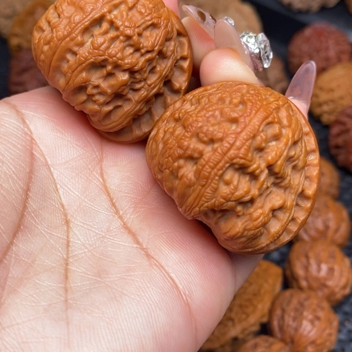 秦岭野生000000127