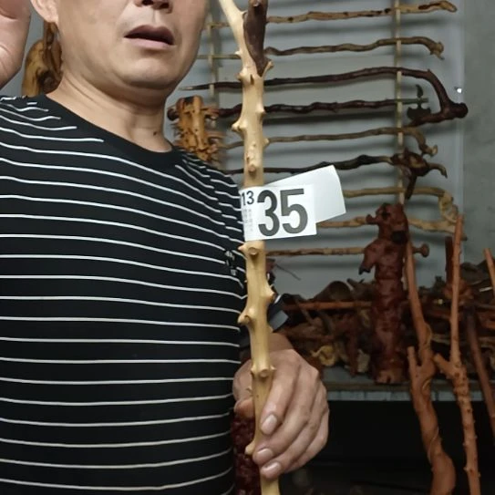 百***我香榧木高山 檬子木文玩料