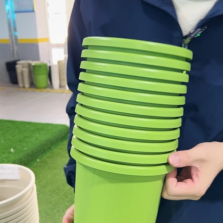 微瑕2号四季口17.3高14.7果绿无托11只