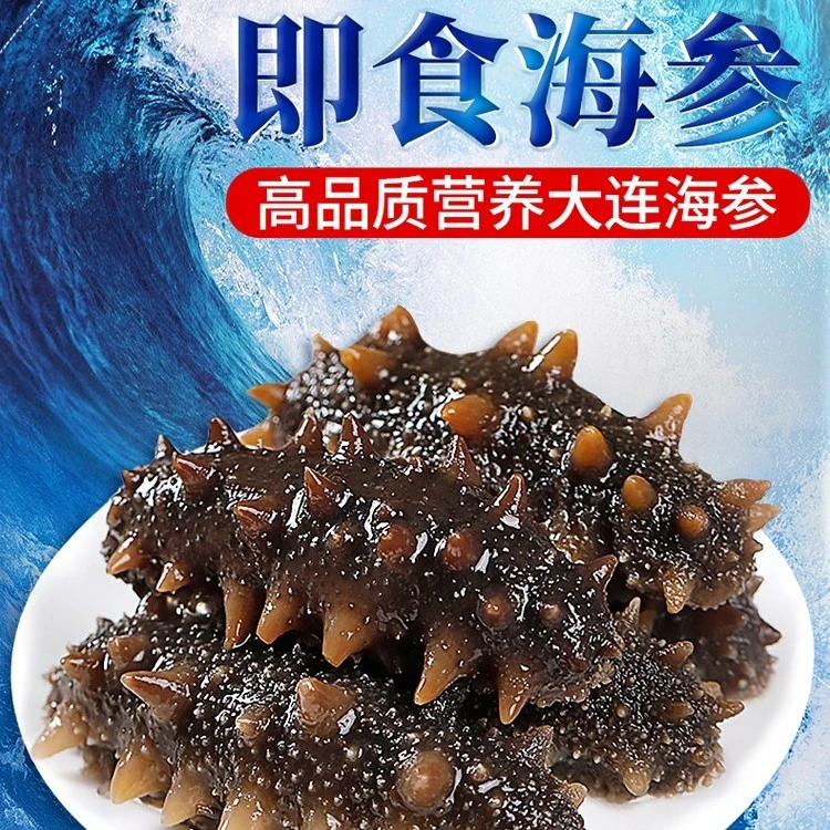大连即食辽参 免泡发  天然健康  营养丰富  国货之光  多规格可选斤
