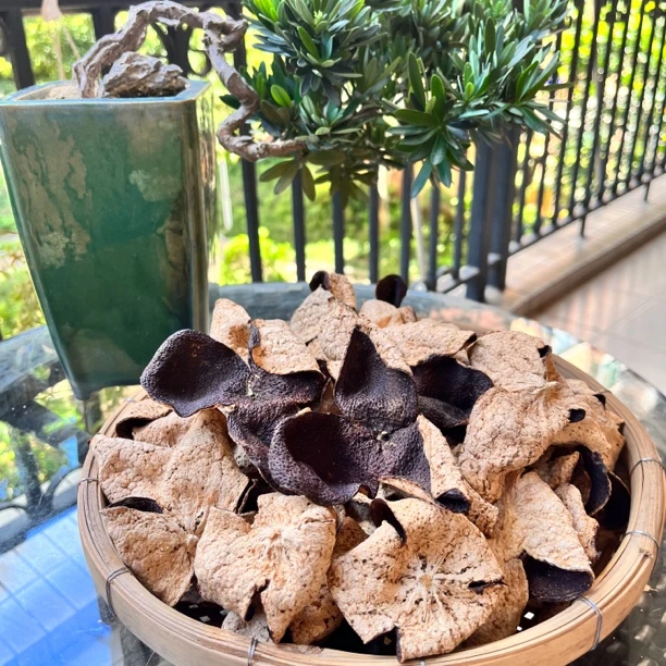 2020年新会小冈驳枝大红陈皮自家果园纯干仓