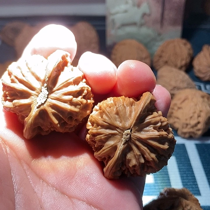 L***w吊坠文玩核桃宫灯全品