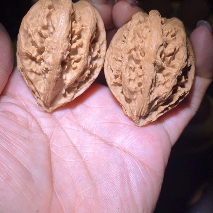 文玩核桃把件东北野生楸子小美64