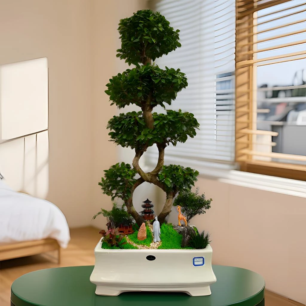 花陶园艺小叶榕树盆景