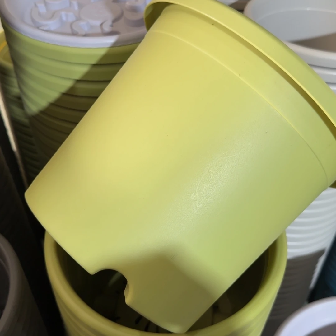 四季5#无拖果绿11个