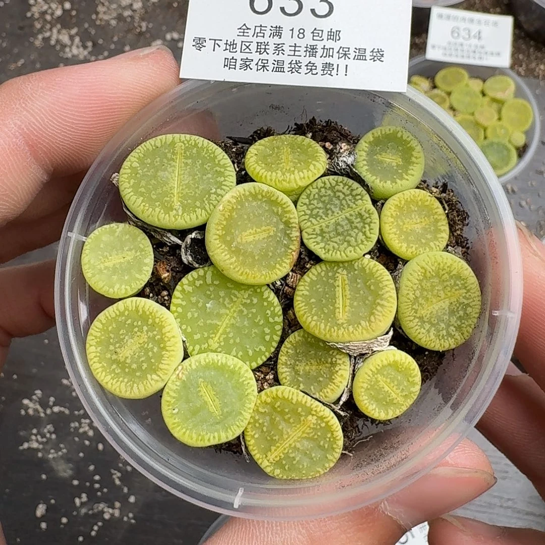 633满18 包邮保温袋联系客服