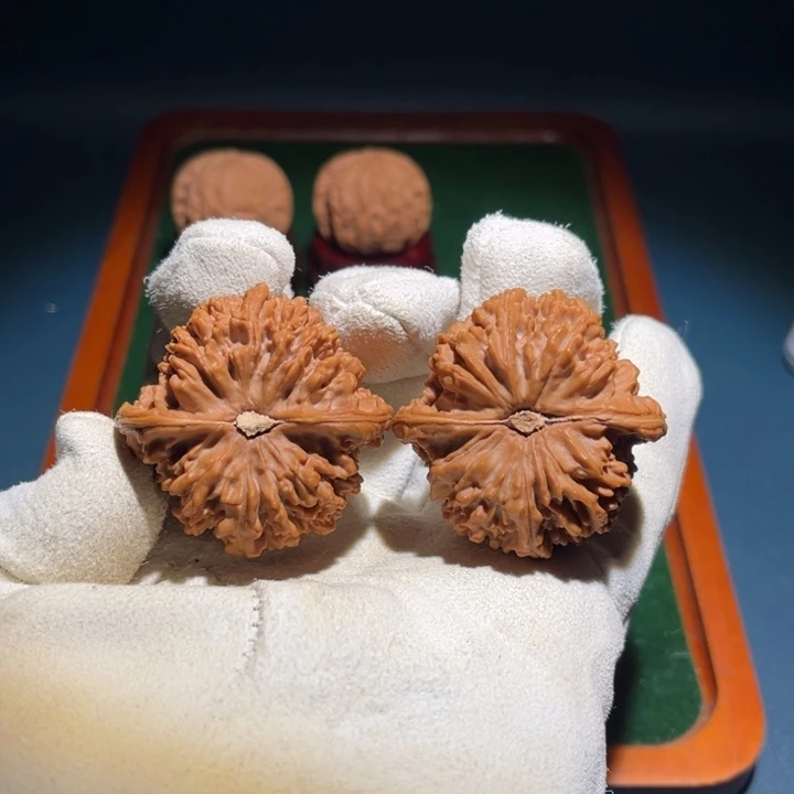 45全品满天星核桃52克