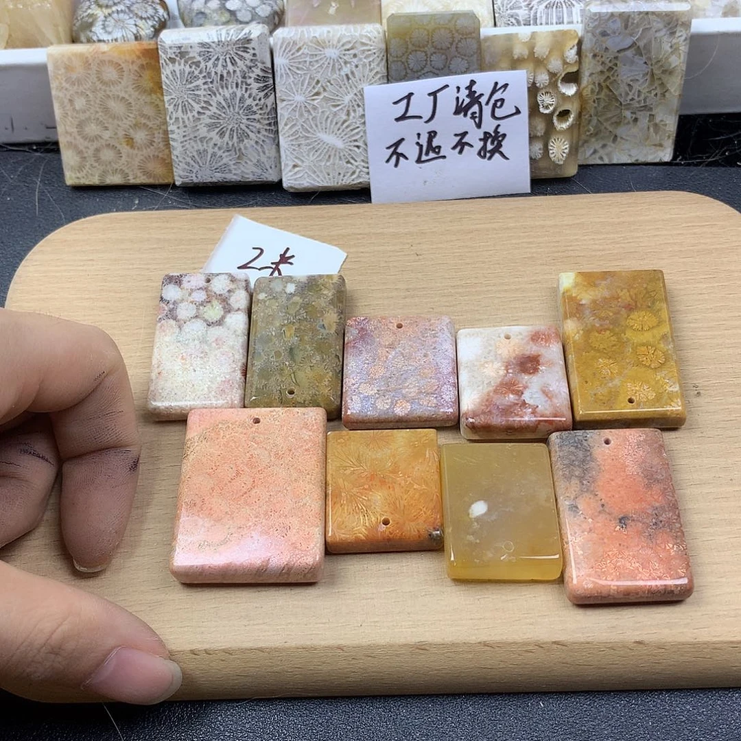 云***哥硅化珊瑚（珊瑚玉）合金颈饰