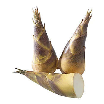 当季新鲜云南甜笋竹笋马蹄笋现挖脆嫩鲜甜可口的蔬菜