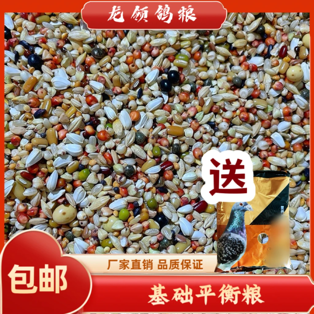 龙领鸽粮  《送保健砂》基础平衡粮  10/20/50斤包邮换羽小颗粒