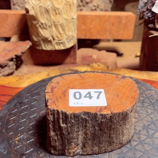 大果紫檀（缅甸花梨）