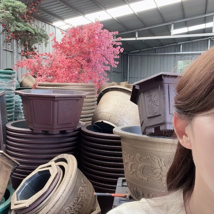 玄***尉八角80口径花盆1个有孔