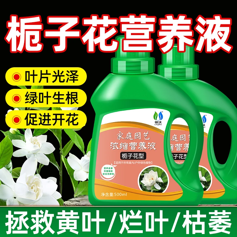 【买一送一】领沃栀子花专用营养液叶子发黄盆栽专用水培酸性开花肥