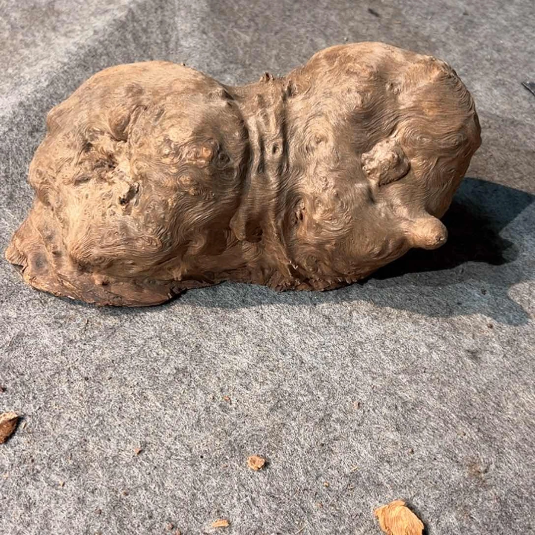 荔枝木耶*耶荔枝木毛料