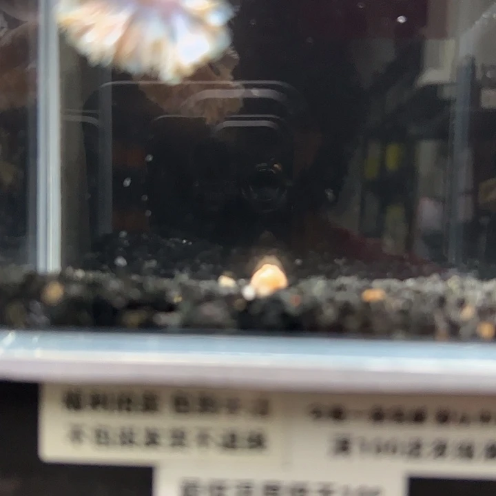 斗鱼跑单拉黑3日92