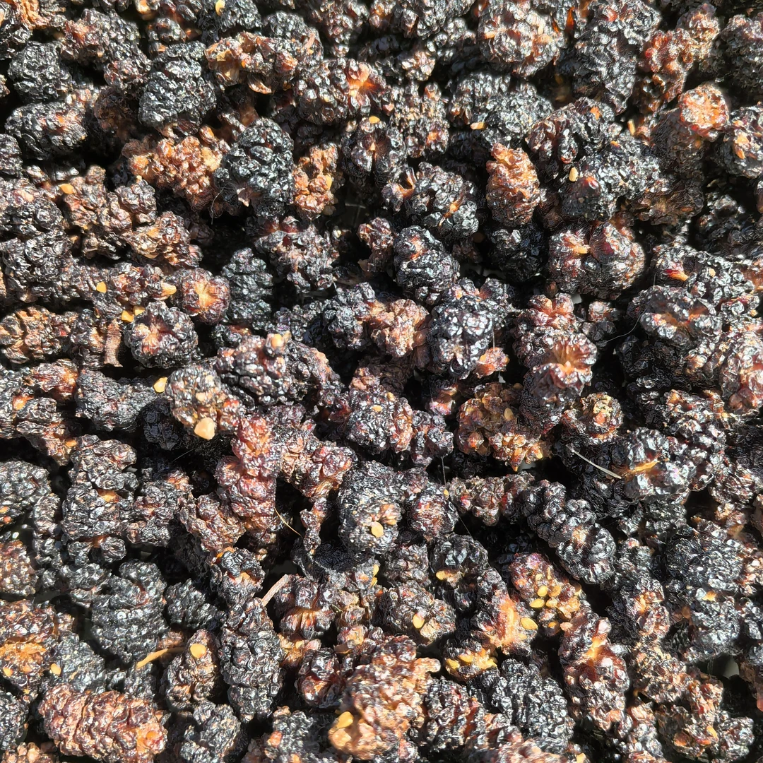 桑葚干，产地新疆哈密四堡。冷藏或冷冻保存