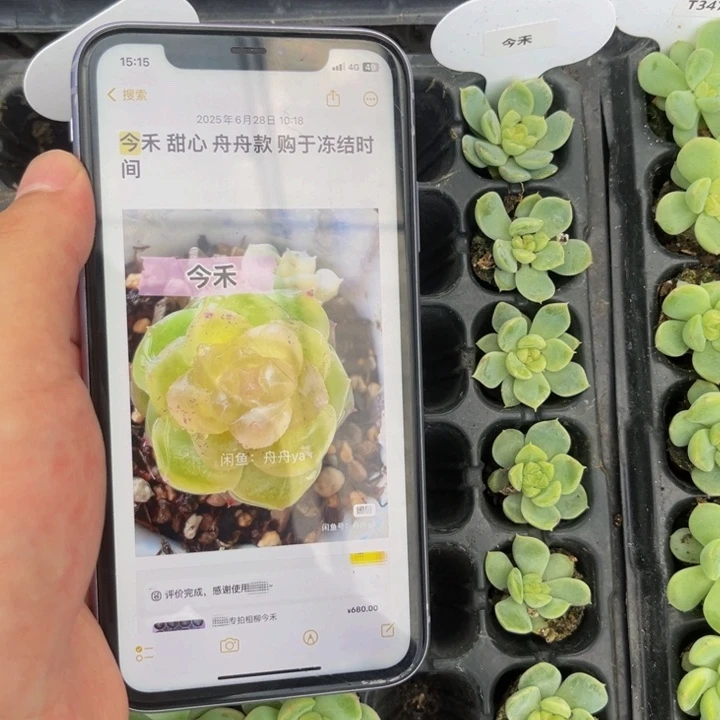 舟舟今禾，满9.9包邮