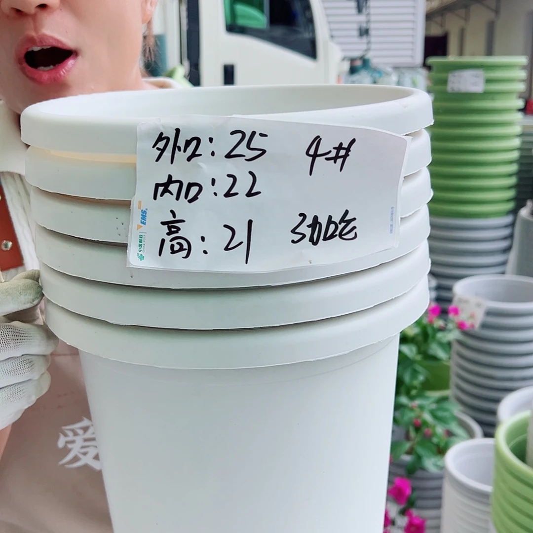 四季盆4#白色8个无托