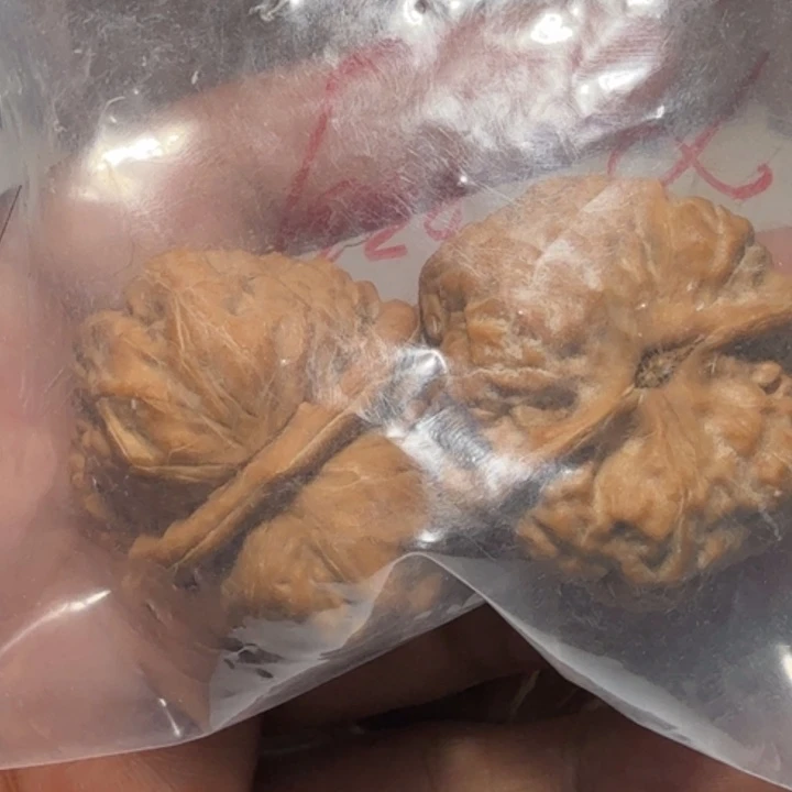 文玩核桃把件青蛙