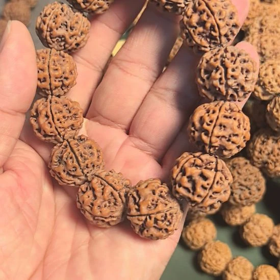 投***缘手串金刚菩提原生态的大金刚手串，21左右的